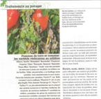 <b>pommes de terre et tomates : les variétés résistantes au mildiou</b></br>les 4 saisons du jardin bio