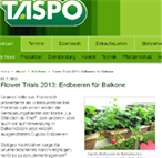 <b>flower trials 2013: erdbeeren für balkone</b></br>taspo