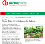 <b>flower trials 2013: erdbeeren für balkone</b></br>gärtnerbörse